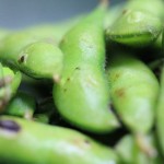 edamame.jpg