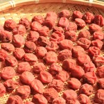 umebosi.jpg